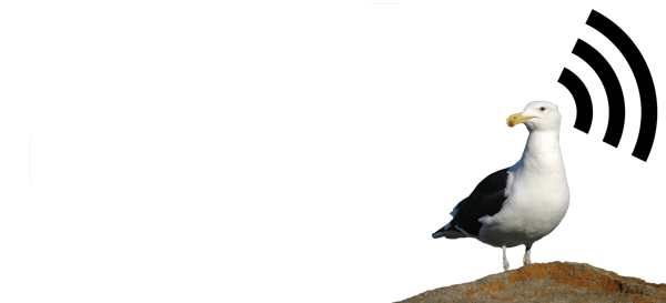 Logo Cocal